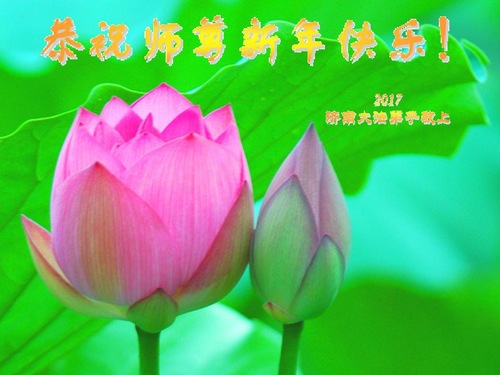 Image for article Praktisi Falun Dafa dari Kota Jinan dengan Hormat Mengucapkan Selamat Tahun Baru kepada Guru Li Hongzhi (25 Ucapan)
