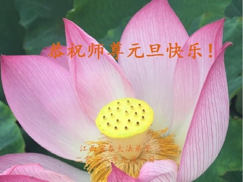 Image for article Praktisi Falun Dafa dari Provinsi Jiangxi dengan Hormat Mengucapkan Selamat Tahun Baru kepada Guru Li Hongzhi (20 Ucapan)