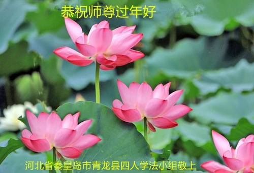 Image for article ​  I praticanti della Falun Dafa della città di Qinhuangdao augurano rispettosamente al Maestro Li Hongzhi un felice anno nuovo cinese (20 saluti)