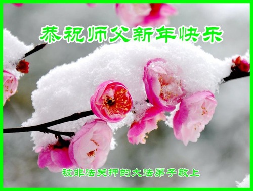 Image for article I praticanti della Falun Dafa ancora detenuti per la loro fede augurano rispettosamente al Maestro Li Hongzhi un felice anno nuovo cinese (venti cartoline d'augurio)