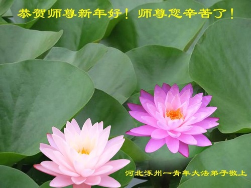 Image for article Praktisi Falun Dafa dari Kota Baoding dengan Hormat Mengucapkan Selamat Tahun Baru kepada Guru Li Hongzhi (22 Ucapan)