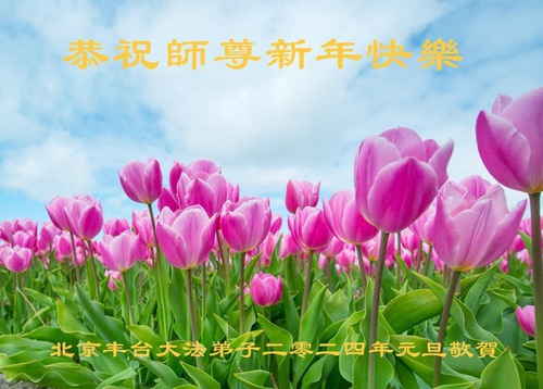 Image for article تمرین‌کنندگان فالون دافا از پکن با احترام سال نو را به استاد لی هنگجی تبریک می‌گویند (22 تبریک)