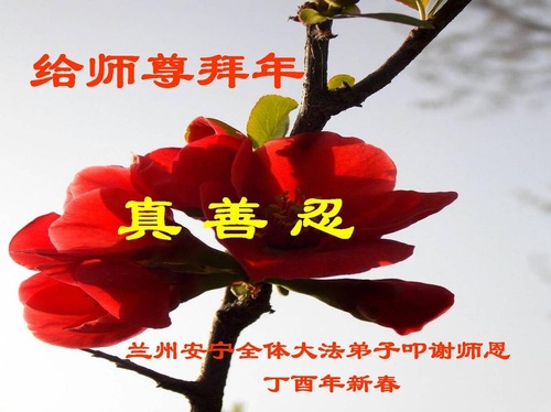 Image for article Praktisi Falun Dafa dari Provinsi Gansu dengan Hormat Mengucapkan Selamat Tahun Baru Imlek kepada Guru Li Hongzhi (20 Ucapan)