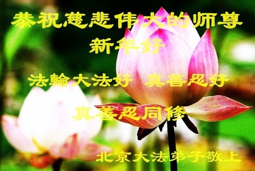 Image for article Praktisi Falun Dafa dari Beijing dengan Hormat Mengucapkan Selamat Tahun Baru kepada Guru Li Hongzhi (24 Ucapan)