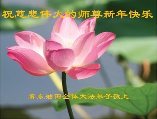 Image for article Praticanti della Falun Dafa che esercitano diverse professioni in Cina augurano rispettosamente al Maestro Li Hongzhi un felice Anno Nuovo (35 messaggi di auguri) 