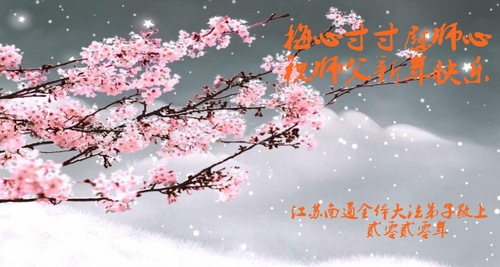 Image for article I praticanti della Falun Dafa della provincia di Jiangsu augurano rispettosamente al Maestro Li Hongzhi un felice anno nuovo  (22 saluti)