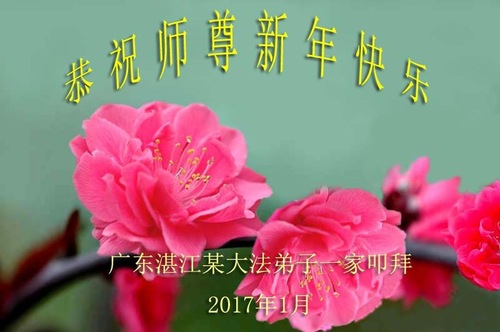 Image for article Praktisi Falun Dafa dari Provinsi Guangdong dengan Hormat Mengucapkan Selamat Tahun Baru Imlek kepada Guru Li Hongzhi (25 Ucapan)