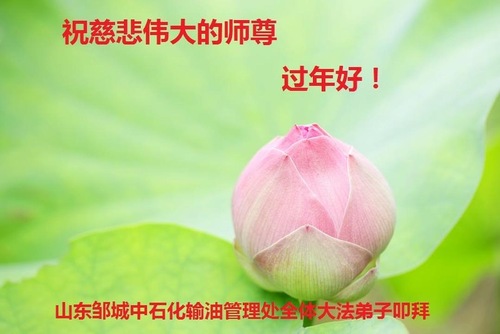 Image for article Praktisi Falun Dafa dari Lebih 40 Industri dengan Hormat Mengucapkan Selamat Tahun Baru Imlek kepada Guru Li Hongzhi 