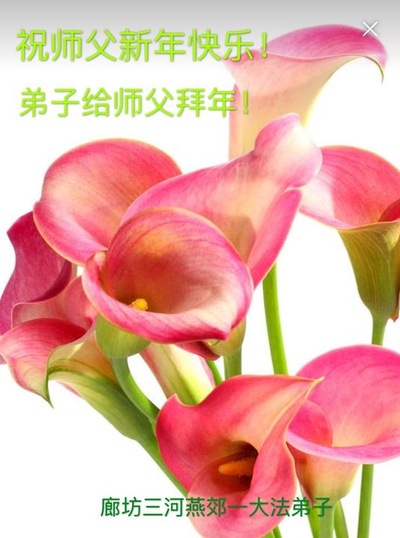 Image for article I praticanti della Falun Dafa della città di Langfang augurano rispettosamente al Maestro Li Hongzhi un felice anno nuovo cinese (22 saluti)