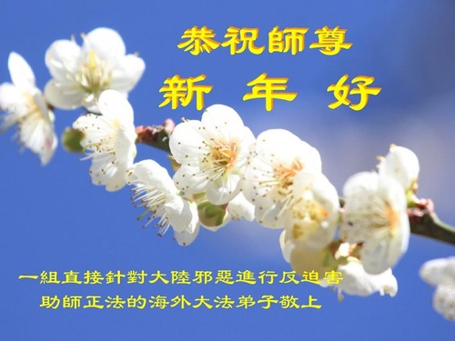Image for article Praktisi yang Terlibat dalam Meningkatkan Kesadaran di luar Tiongkok Mengucapkan Selamat Tahun Baru Imlek kepada Guru Li