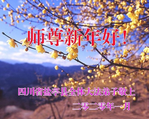 Image for article Praktisi Falun Dafa dari Provinsi Sichuan Mengucapkan Selamat Tahun Baru Imlek kepada Guru Li Hongzhi Terhormat (26 Ucapan)