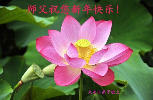 Image for article Praktisi Muda Dengan Hormat Mengucapkan Selamat Tahun Baru Imlek Kepada Guru Li Hongzhi (22 Ucapan)