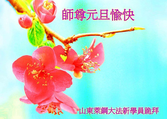 Image for article New Practitioners from China: “Happy New Year to Our Revered Master!”