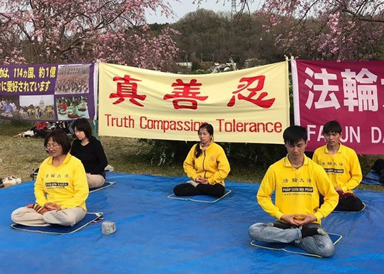 Image for article Japan: Introducing Falun Gong During the Cherry Blossom Festival