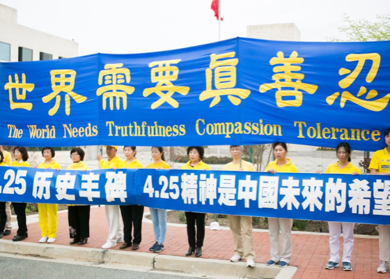 Image for article Rally in Washington, D.C. Calls to End 20-year Persecution in China