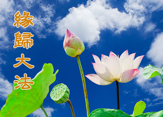 Image for article My Life Turned Around after Cultivating in Falun Dafa