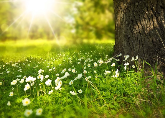 Image for article Heartwarming Stories About People Learning the Truth