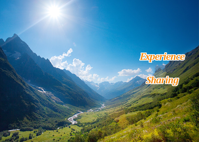 Image for article German Practitioner: Being Able to Practice Falun Dafa Is a Tremendous Blessing