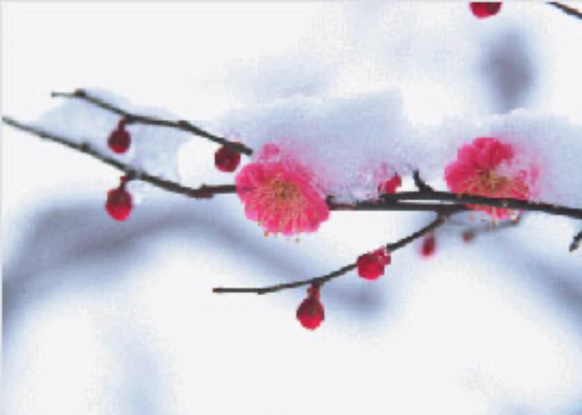 Image for article Letting Go of Resentment, Treating My Brother Kindly