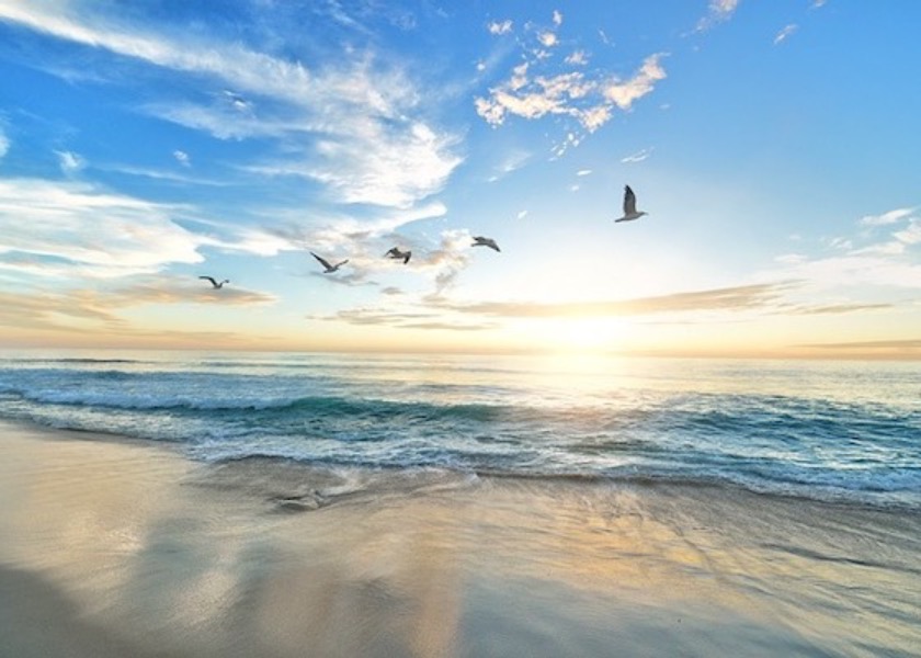 Image for article My Greatest Happiness in Life Is Finding Falun Dafa