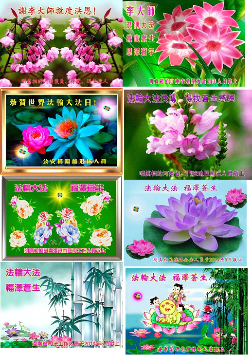 2015-1-4-minghui-513-cards.jpg