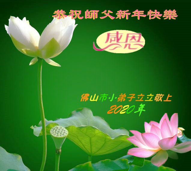 Image for article Praktisi Muda dengan Hormat Mengucapkan Selamat Tahun Baru kepada Guru Li Hongzhi (19 Ucapan)