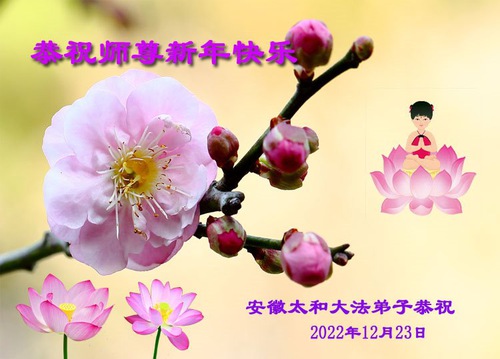 Image for article I praticanti della Falun Dafa nella provincia dell’Anhui augurano rispettosamente al Maestro Li Hongzhi un felice anno nuovo (21 saluti)