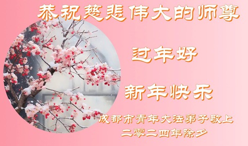 Image for article Jóvenes practicantes de Falun Dafa dan las gracias a Shifu por ayudarles a comprender el verdadero sentido de la vida