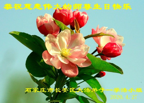 Image for article Praktisi Falun Dafa dari Kota Shijiazhuang Merayakan Hari Falun Dafa Sedunia dan dengan Hormat Mengucapkan Selamat Ulang Tahun kepada Guru Li Hongzhi (23 Ucapan)