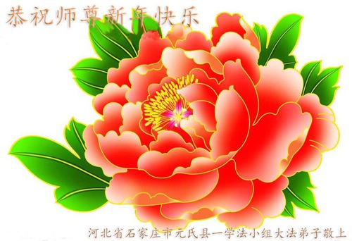 Image for article I praticanti della Falun Dafa di Shijiazhuang augurano rispettosamente al Maestro Li Hongzhi un felice Anno Nuovo (24 auguri) 
