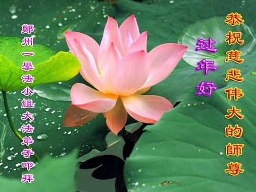 Image for article I praticanti della Falun Dafa di Zhengzhou augurano rispettosamente al Maestro Li Hongzhi un felice anno nuovo cinese (21 saluti) 