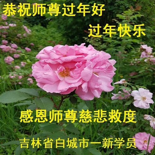 https://en.minghui.org/u/article_images/2022-1-29-22011807554761979_01_YLkvEeR.jpg