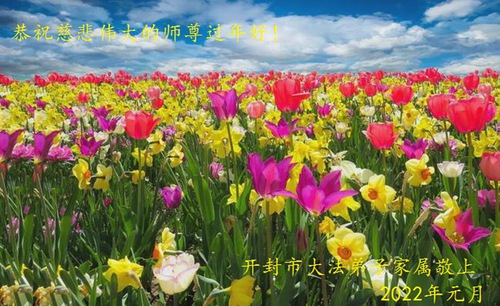 Image for article I praticati della Falun Dafa della provincia dell'Henan augurano rispettosamente al Maestro Li Hongzhi un felice anno nuovo cinese (27 Auguri)
