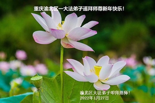 Image for article Praktisi Falun Dafa dari Chongqing dengan Hormat Mengucapkan Selamat Tahun Baru Imlek kepada Guru Li Hongzhi (20 Ucapan)