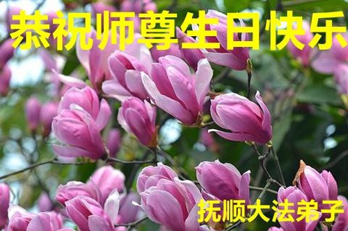 Image for article I praticanti della Falun Dafa della provincia del Liaoning celebrano la Giornata mondiale della Falun Dafa e augurano rispettosamente un buon compleanno al Maestro Li Hongzhi (20 auguri) 