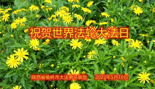 Image for article I praticanti della Falun Dafa della provincia dello Shaanxi celebrano la Giornata mondiale della Falun Dafa e augurano rispettosamente un buon compleanno al Maestro Li Hongzhi (21 auguri) 
