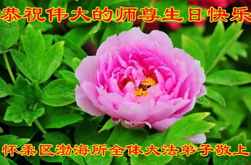 Image for article I praticanti della Falun Dafa di Pechino celebrano la Giornata Mondiale della Falun Dafa e augurano rispettosamente un buon compleanno al Maestro Li Hongzhi (19 auguri)