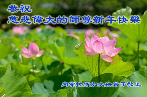 Image for article Praticanti della Falun Dafa degli Stati Uniti d'America augurano rispettosamente al Maestro Li Hongzhi un felice Capodanno cinese 