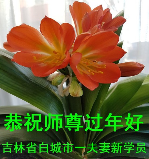 https://en.minghui.org/u/article_images/2022-1-29-22011608393784175_01_0SsMIVP.jpg