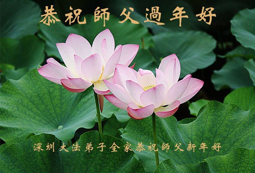 Image for article I praticanti della Falun Dafa della provincia del Guangdong augurano rispettosamente al Maestro Li Hongzhi un Felice Anno Nuovo Cinese (28 auguri) 