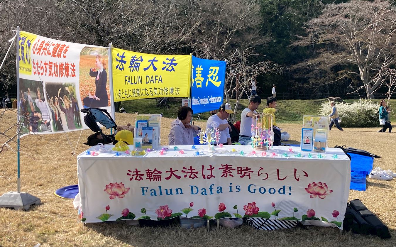 Japan Introducing Falun Dafa During the Cherry Blossom Festival