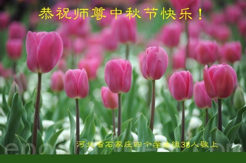 Image for article I praticanti della Falun Dafa della città di Shijiazhuang augurano rispettosamente al Maestro Li Hongzhi una felice Festa di Metà Autunno (23 auguri) 