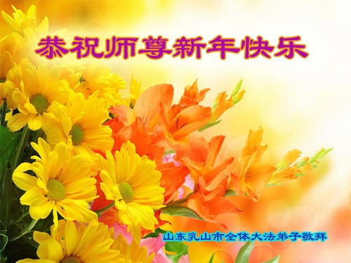 Image for article ​I praticati della Falun Dafa della provincia dello Shandong augurano rispettosamente al Maestro Li Hongzhi un felice anno nuovo cinese (26 Auguri) 