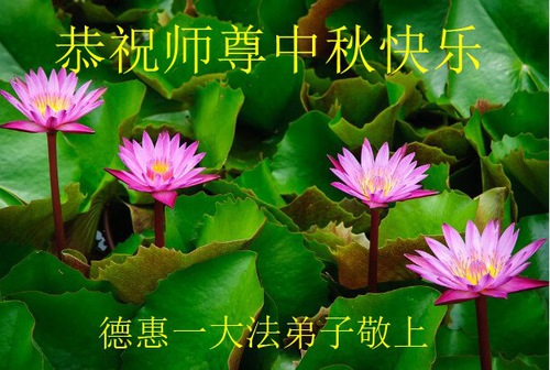 Image for article I praticanti della Falun Dafa della città di Changchun augurano rispettosamente al Maestro Li Hongzhi una felice Festa di Metà Autunno (21 auguri) 