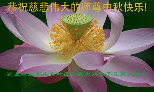 Image for article Praktisi Falun Dafa di Pedesaan Mengucapkan Selamat Festival Pertengahan Musim Gugur kepada Guru Li Hongzhi (26 Ucapan)