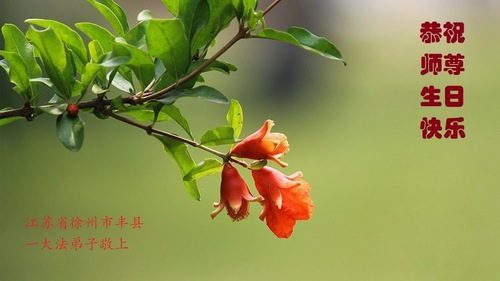 Image for article I praticanti della Falun Dafa delle provincie del Jiangsu e Jiangxi celebrano la Giornata Mondiale della Falun Dafa e augurano rispettosamente un buon compleanno al Maestro Li Hongzhi (32 auguri)