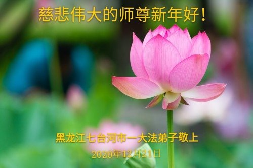 Image for article ​  I praticanti della Falun Dafa della provincia di Heilongjiang augurano rispettosamente al Maestro Li Hongzhi un felice anno nuovo (28 saluti) 
