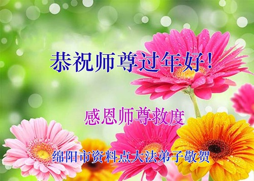Image for article I praticanti della Falun Dafa della provincia dello Sichuan augurano con rispetto al Maestro Li Hongzhi un felice anno nuovo cinese (23 Auguri)