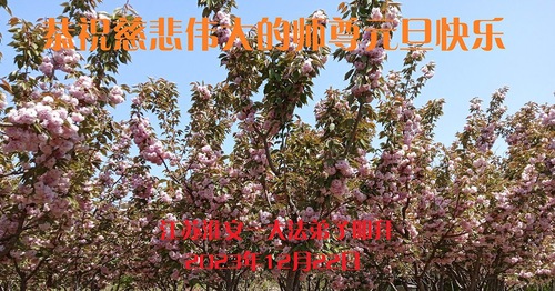 Image for article I praticanti della Falun Dafa della provincia del Jiangsu augurano rispettosamente al Maestro Li Hongzhi un felice anno nuovo (22 auguri)