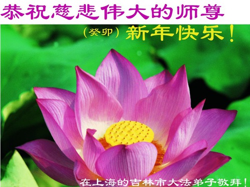Image for article Praktisi Falun Dafa dari Shanghai dengan Hormat Mengucapkan Selamat Tahun Baru Imlek kepada Guru Li Hongzhi (18 Ucapan)